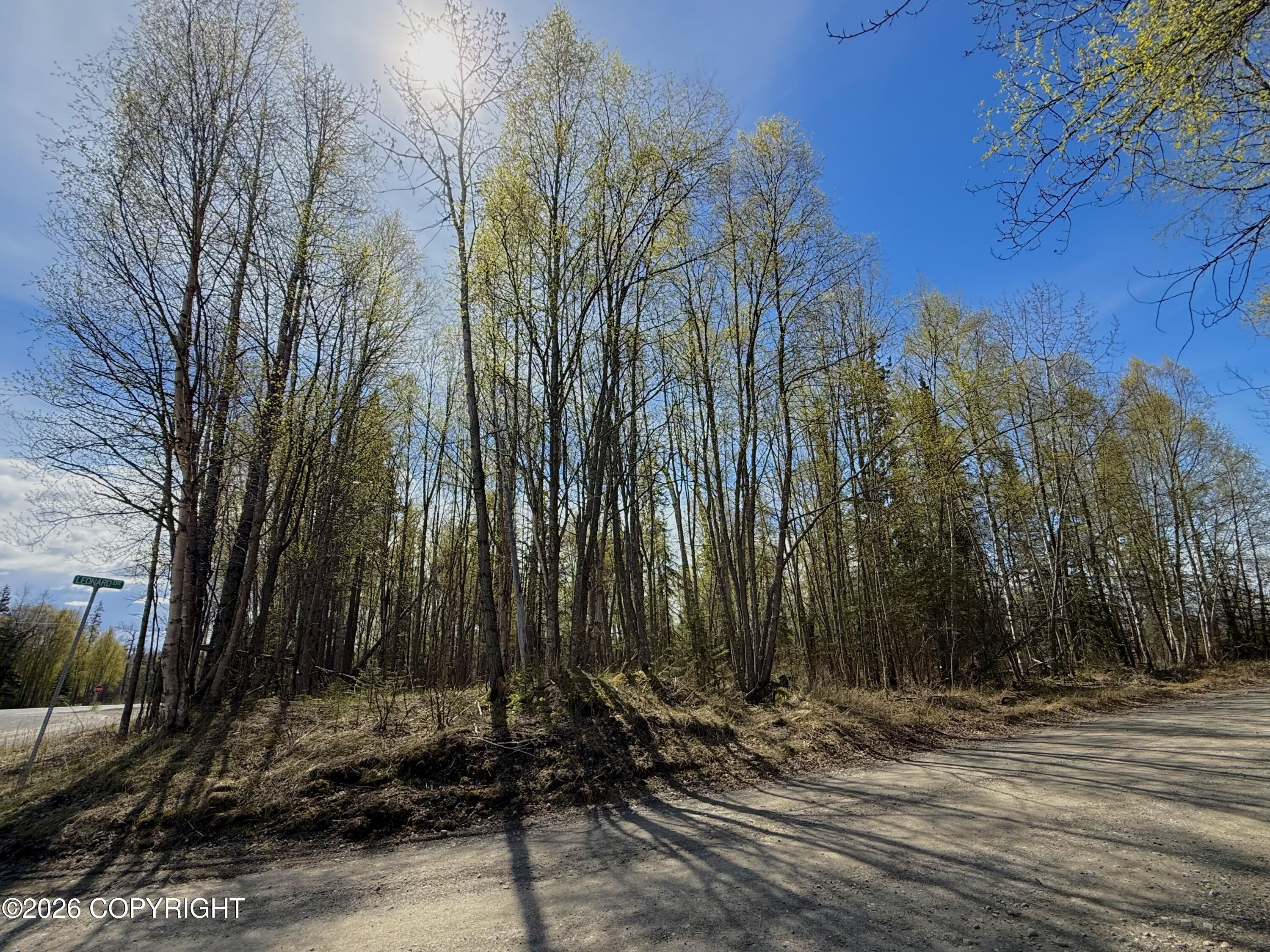 002 Kenai Spur Highway Property Photo 8