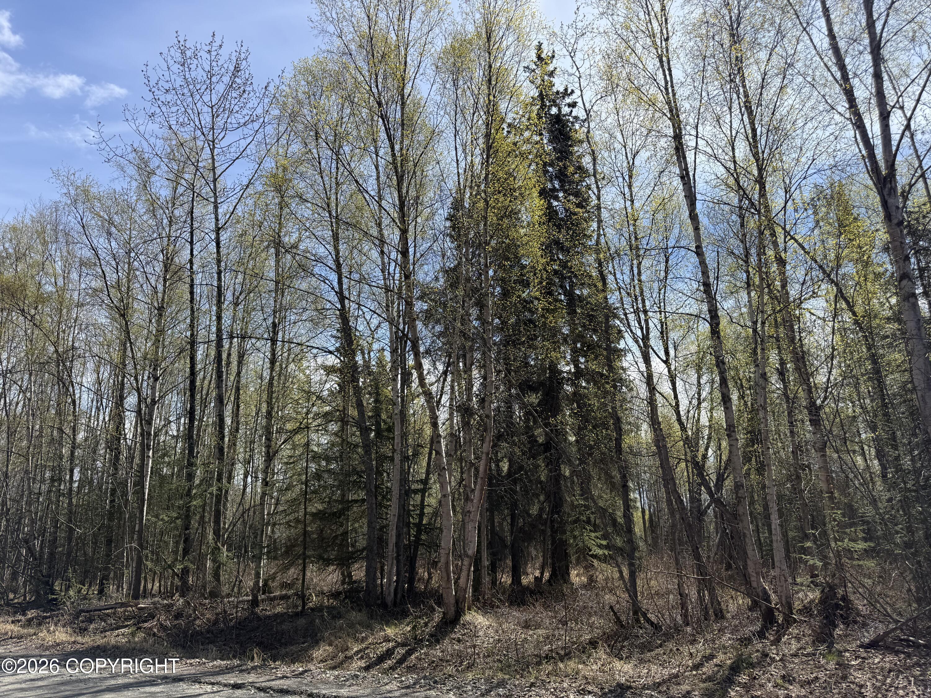 002 Kenai Spur Highway Property Photo 9