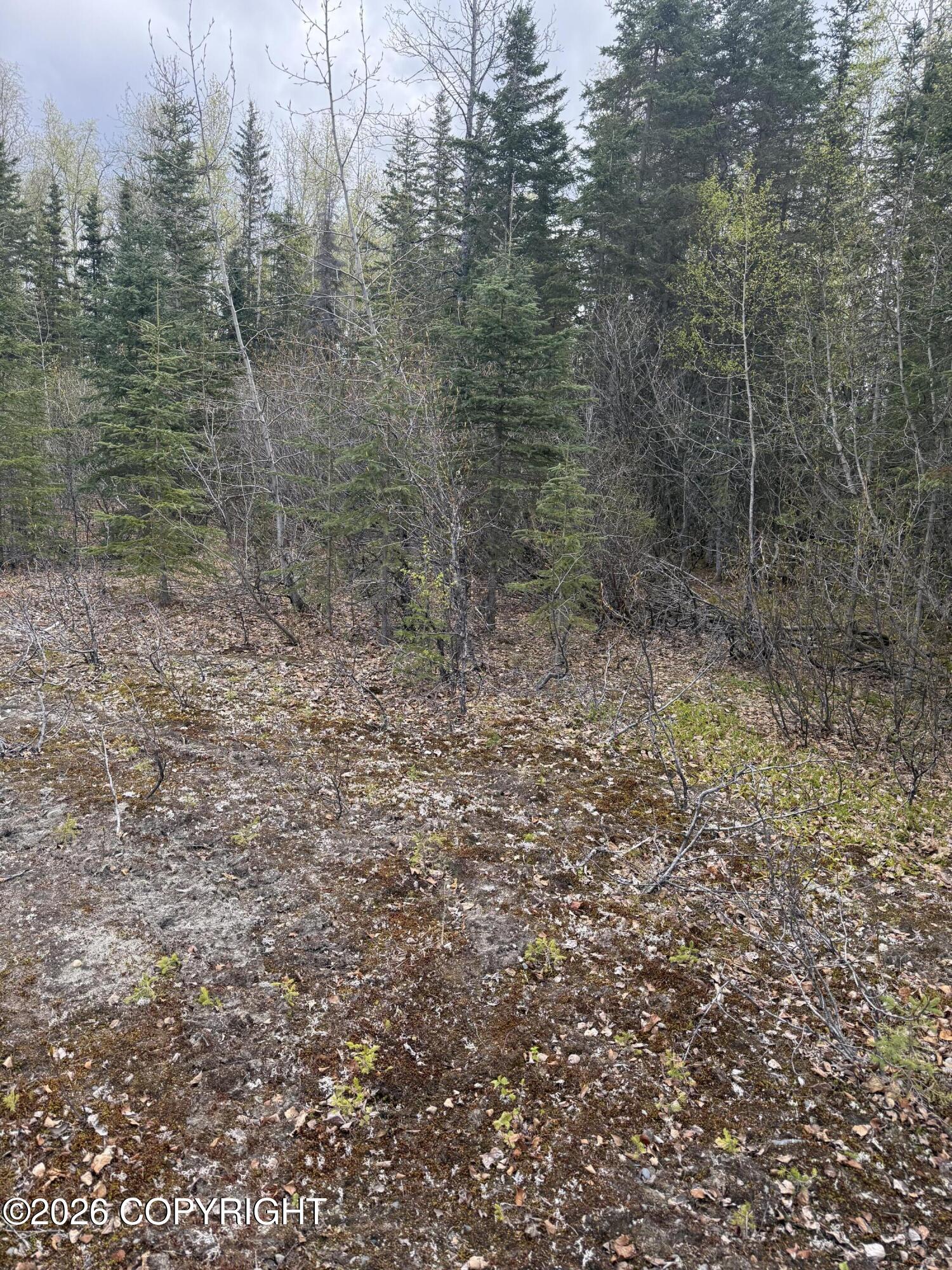 39495 E Fox Trail Road Property Photo 13