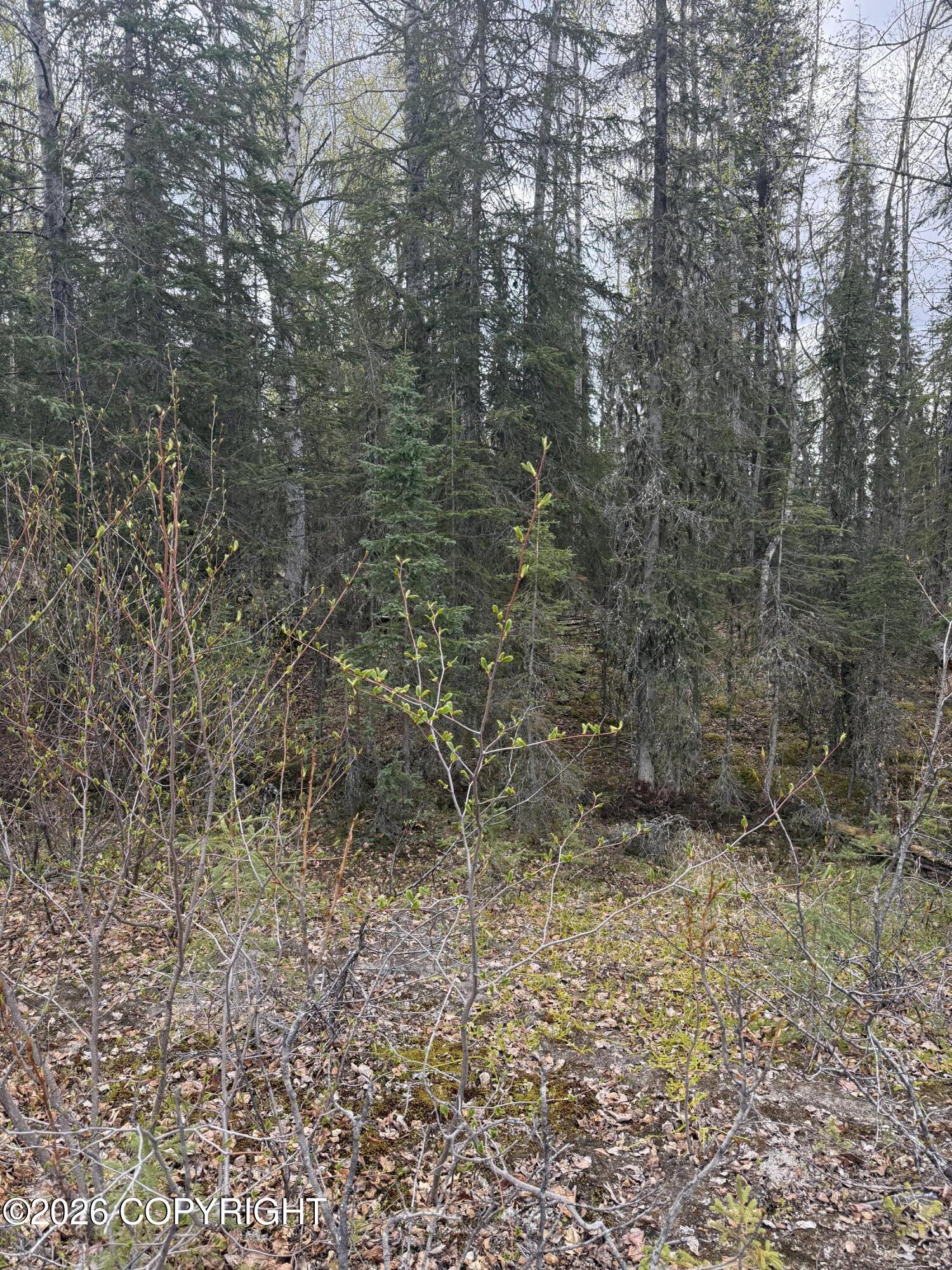 39495 E Fox Trail Road Property Photo 14