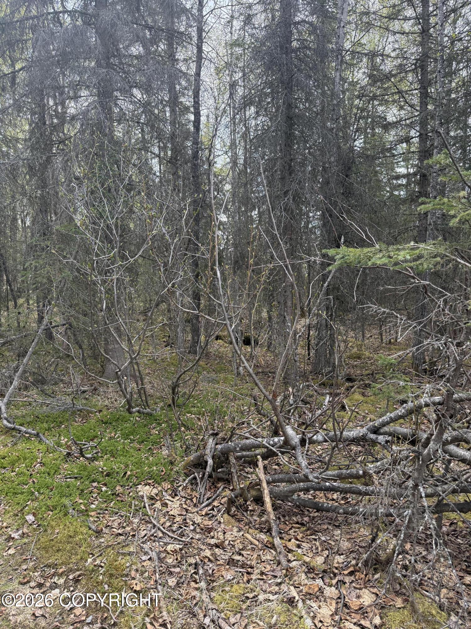 39495 E Fox Trail Road Property Photo 16