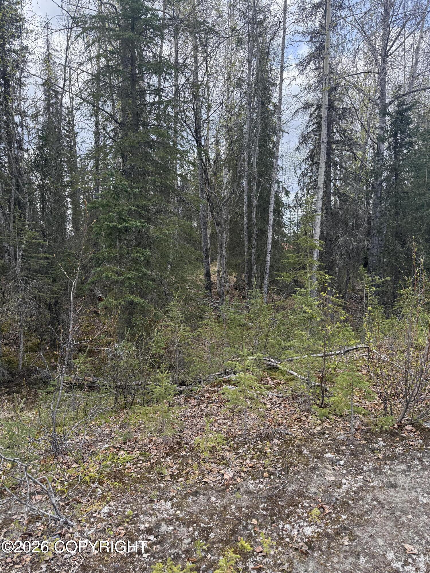 39495 E Fox Trail Road Property Photo 17