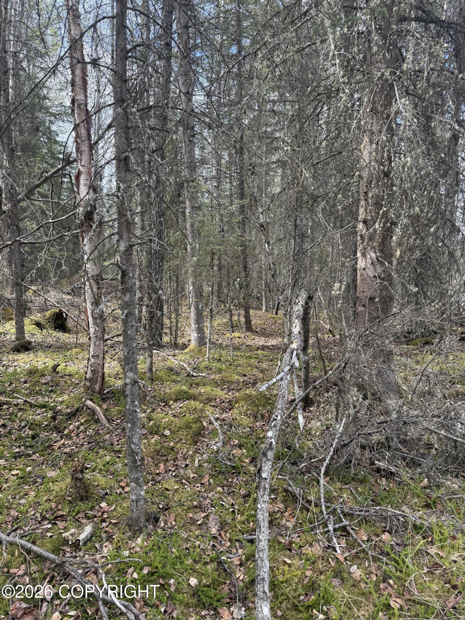 39495 E Fox Trail Road Property Photo 18