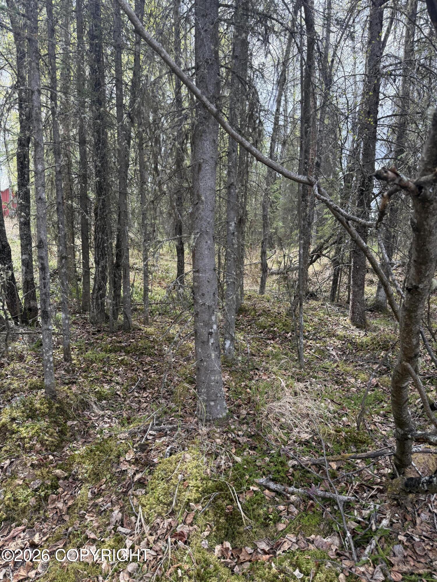 39495 E Fox Trail Road Property Photo 19