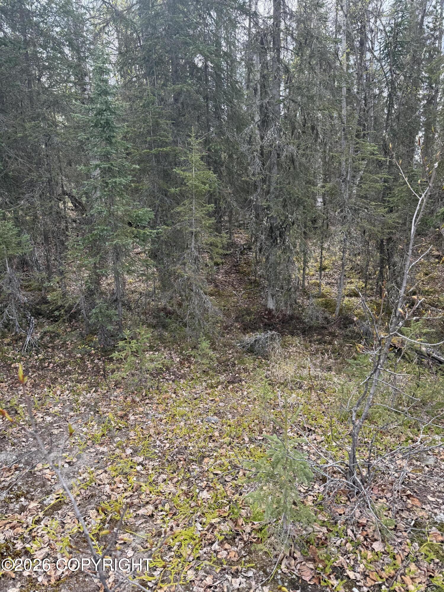 39495 E Fox Trail Road Property Photo 20