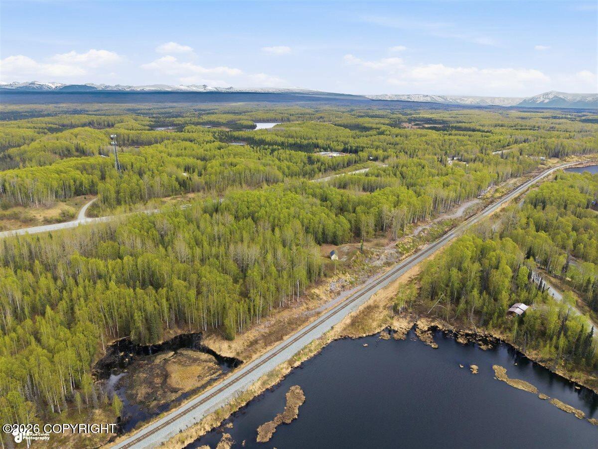 27048 W Parks Highway Property Photo 15