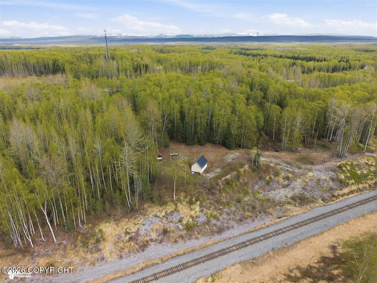27048 W Parks Highway Property Photo 23