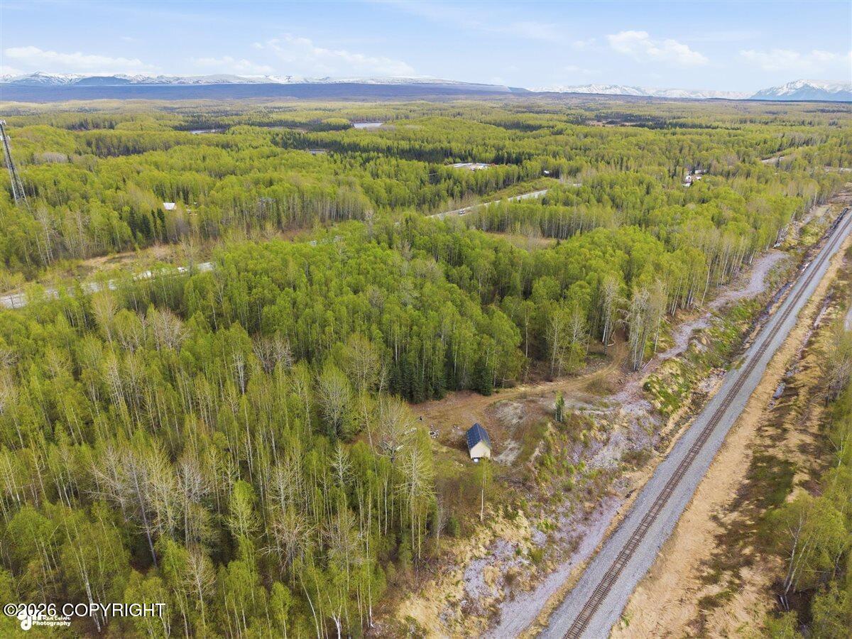 27048 W Parks Highway Property Photo 28