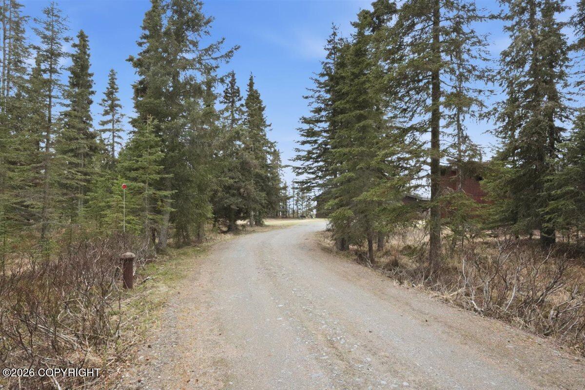 26399 Cohoe Loop Road Property Photo 41
