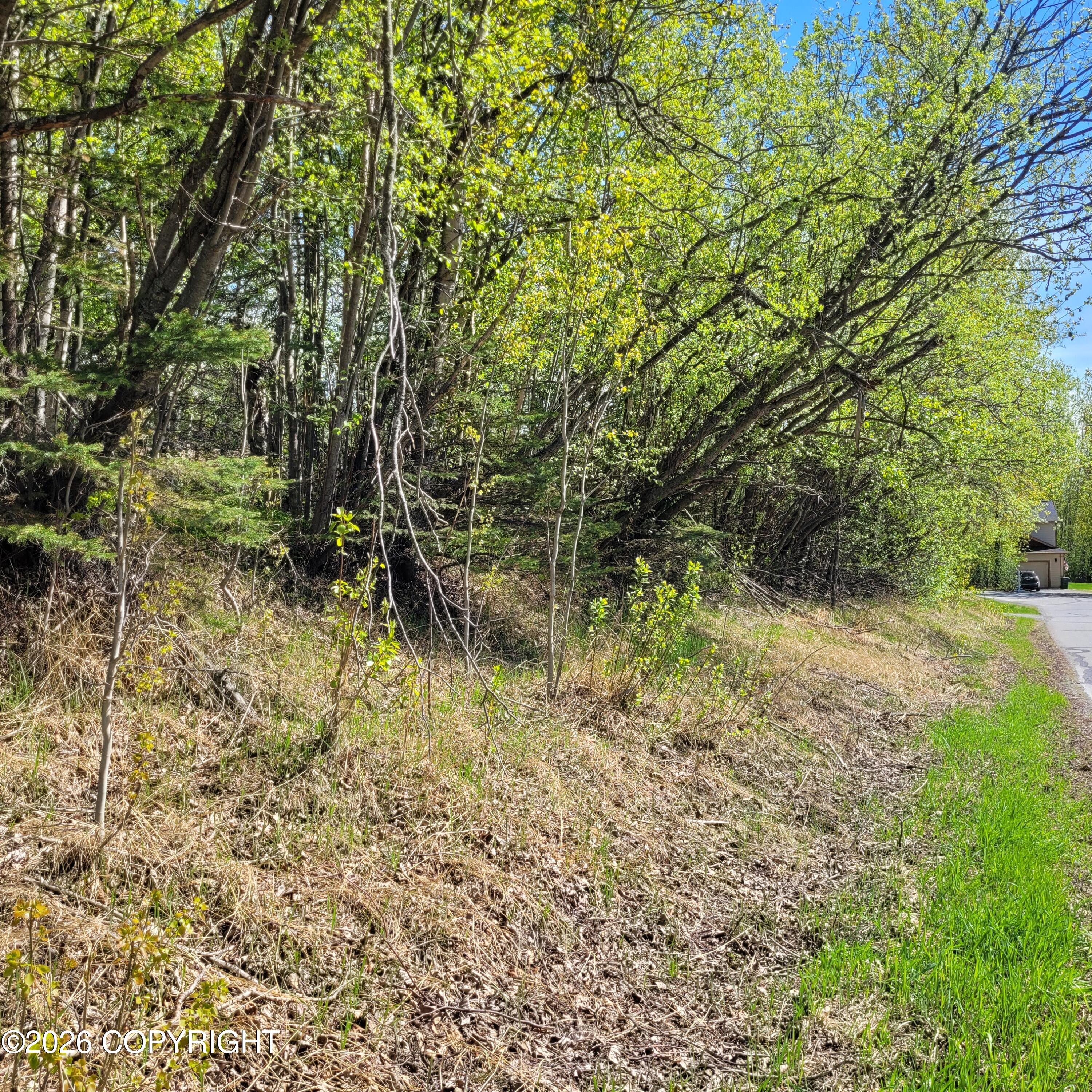3231 N Calder Road Property Photo 11