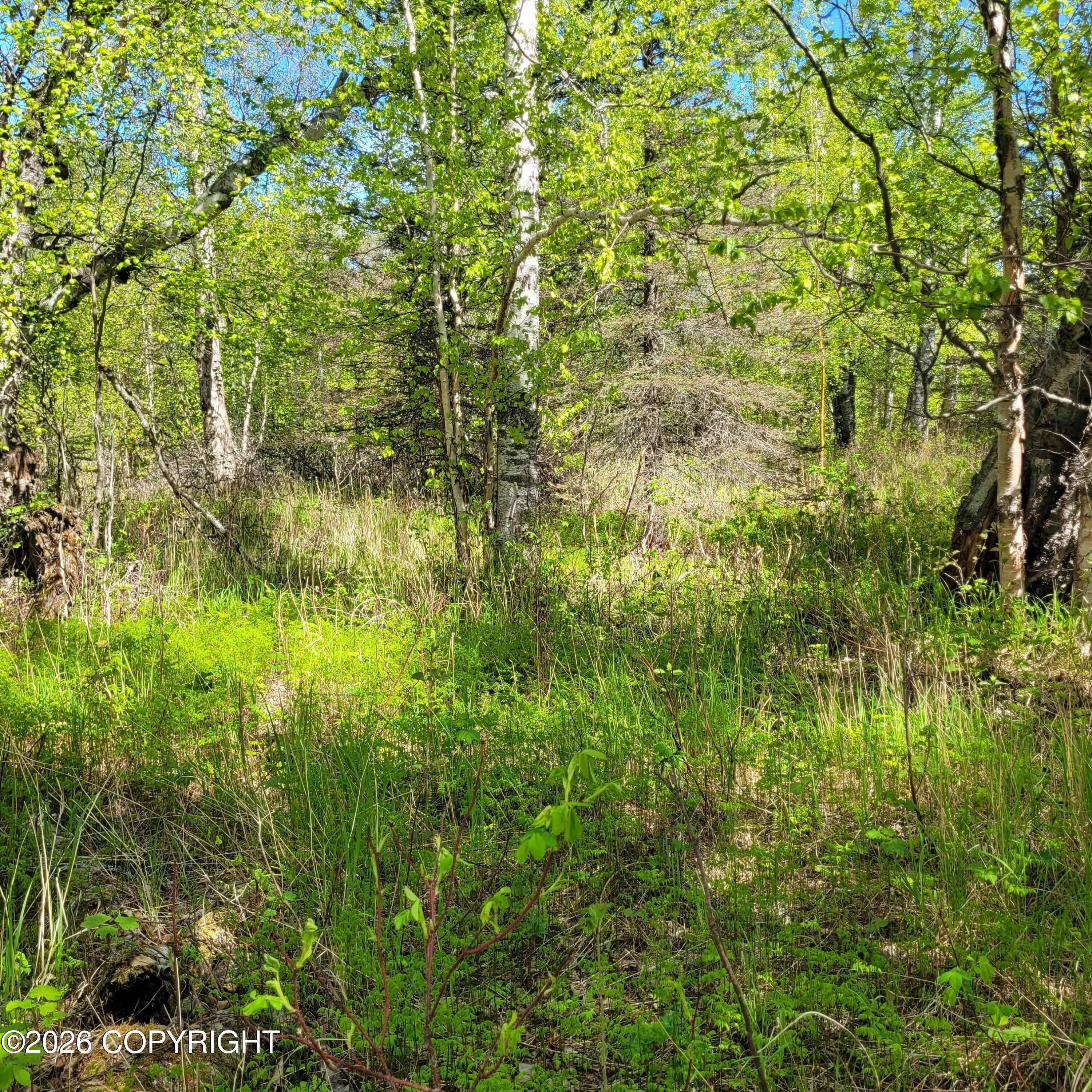 3231 N Calder Road Property Photo 12