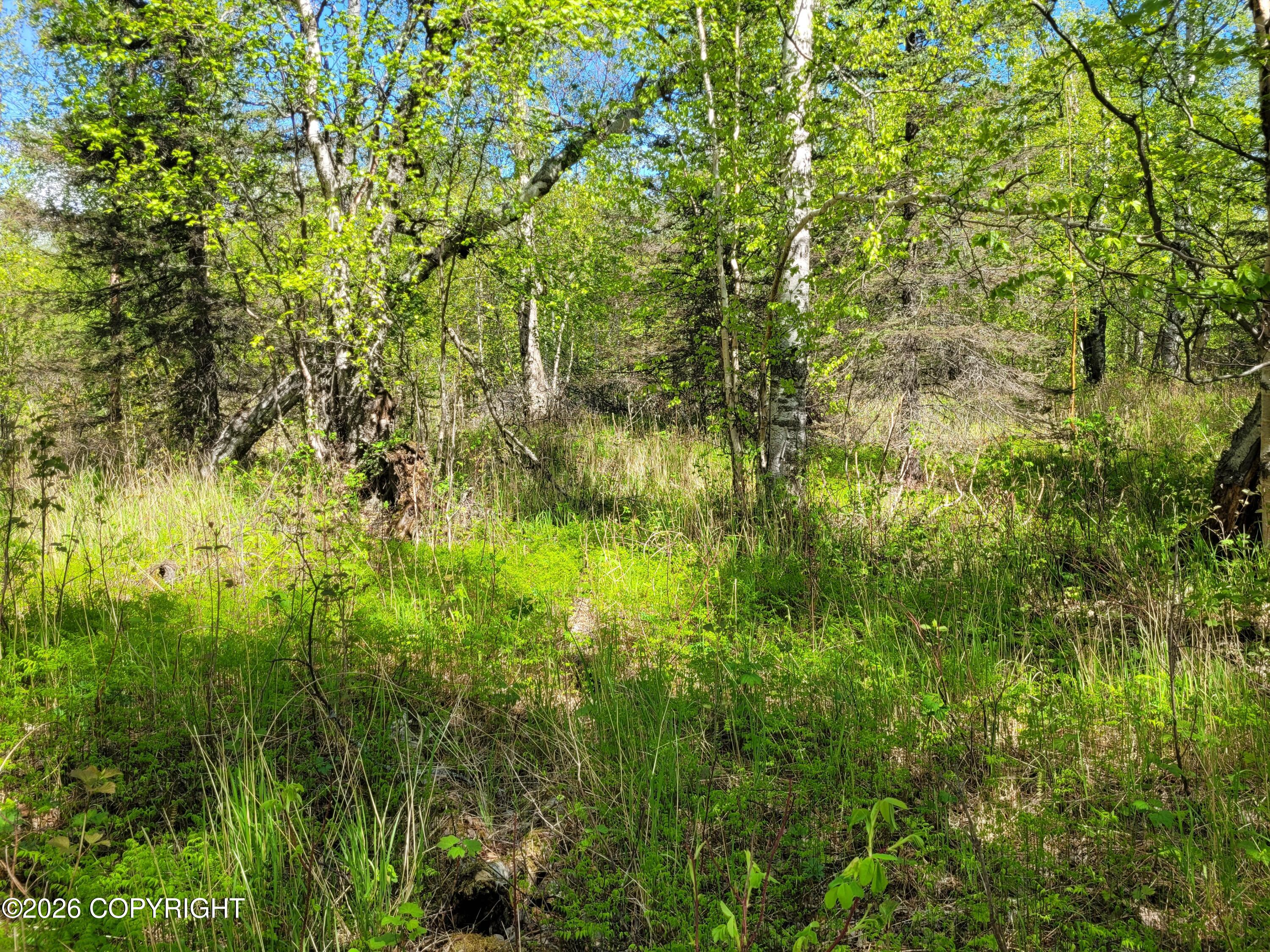 3231 N Calder Road Property Photo 13