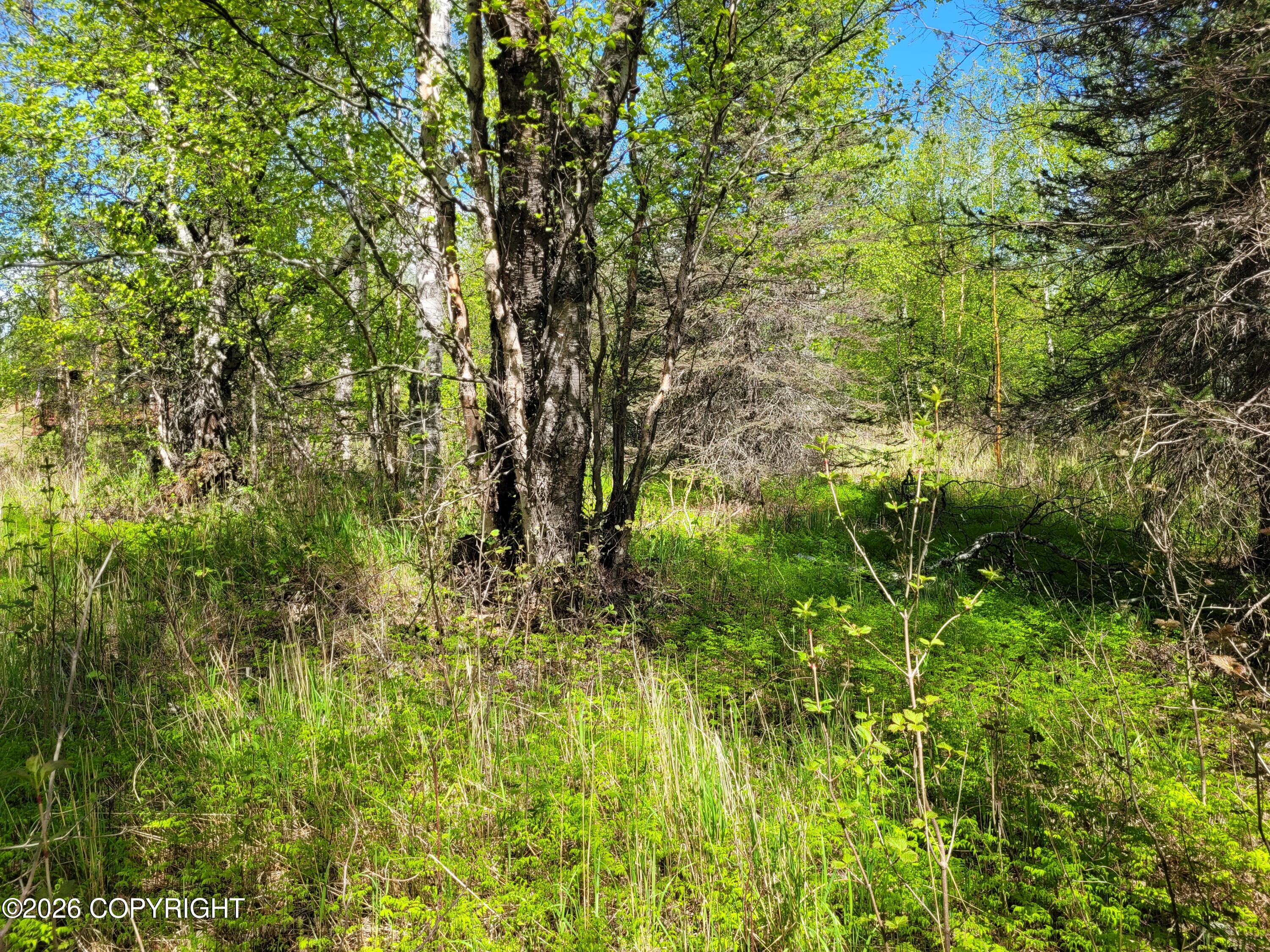 3231 N Calder Road Property Photo 14