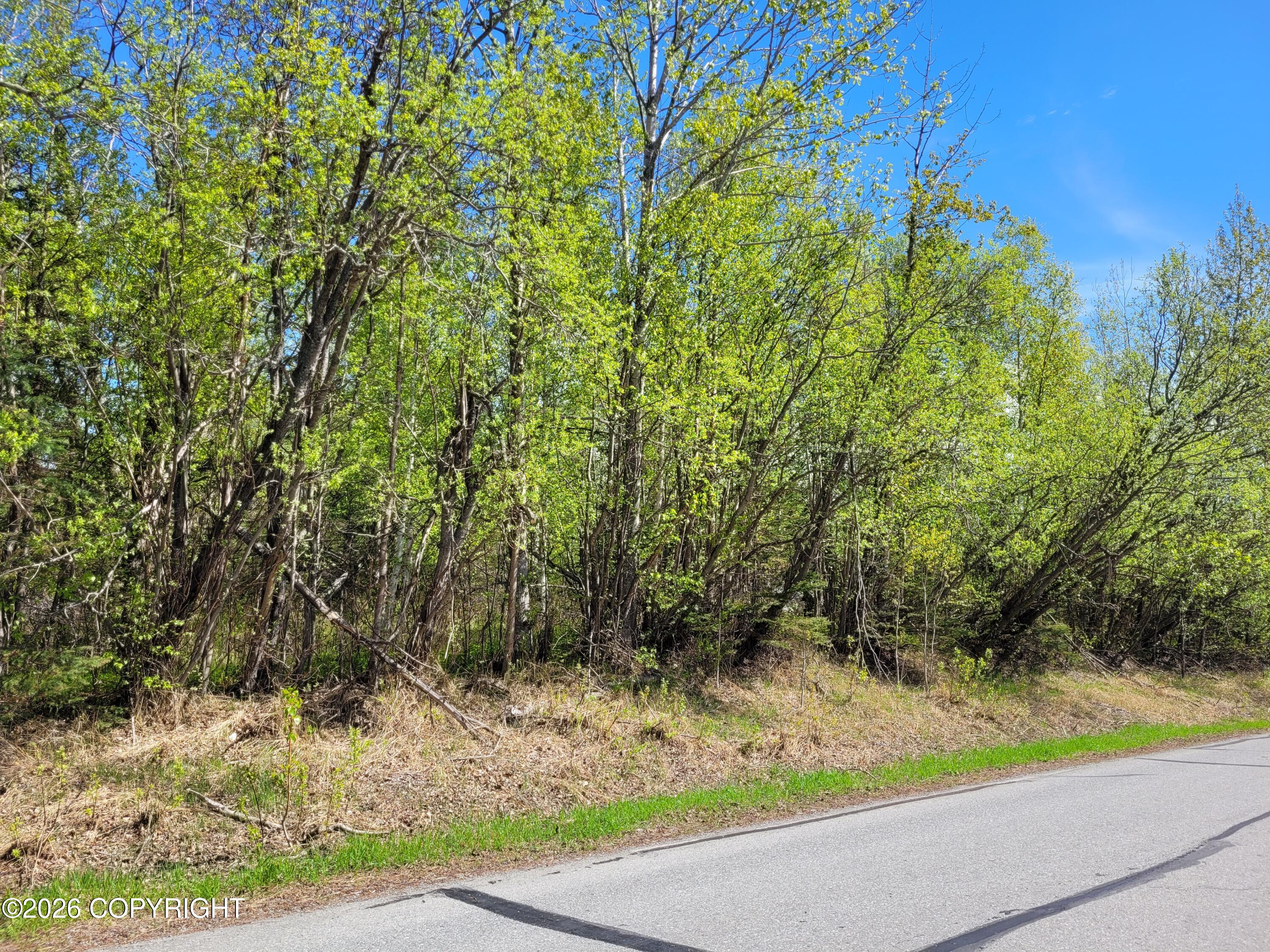 3231 N Calder Road Property Photo 15