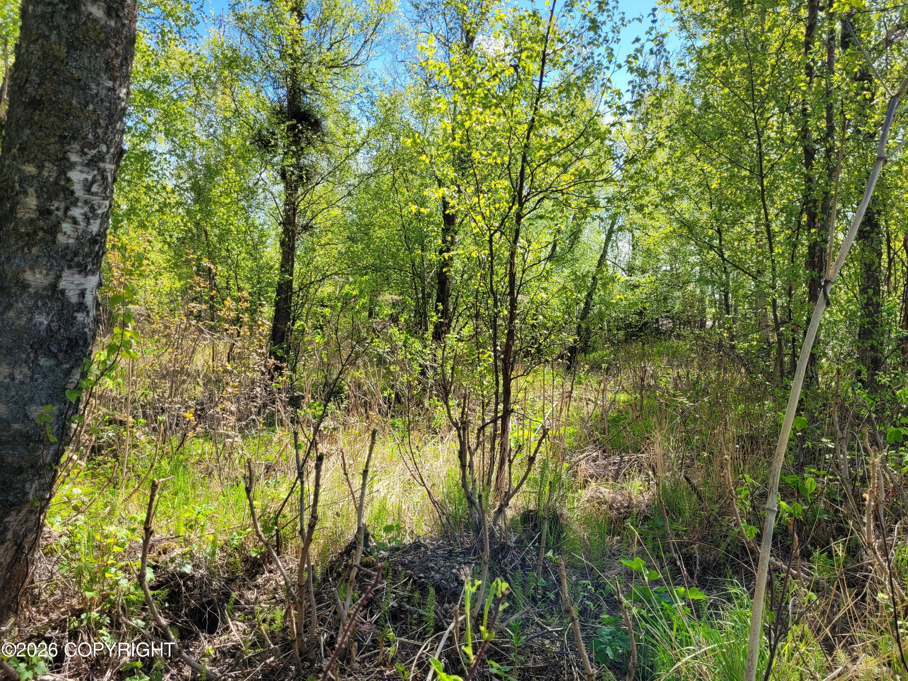 3231 N Calder Road Property Photo 16