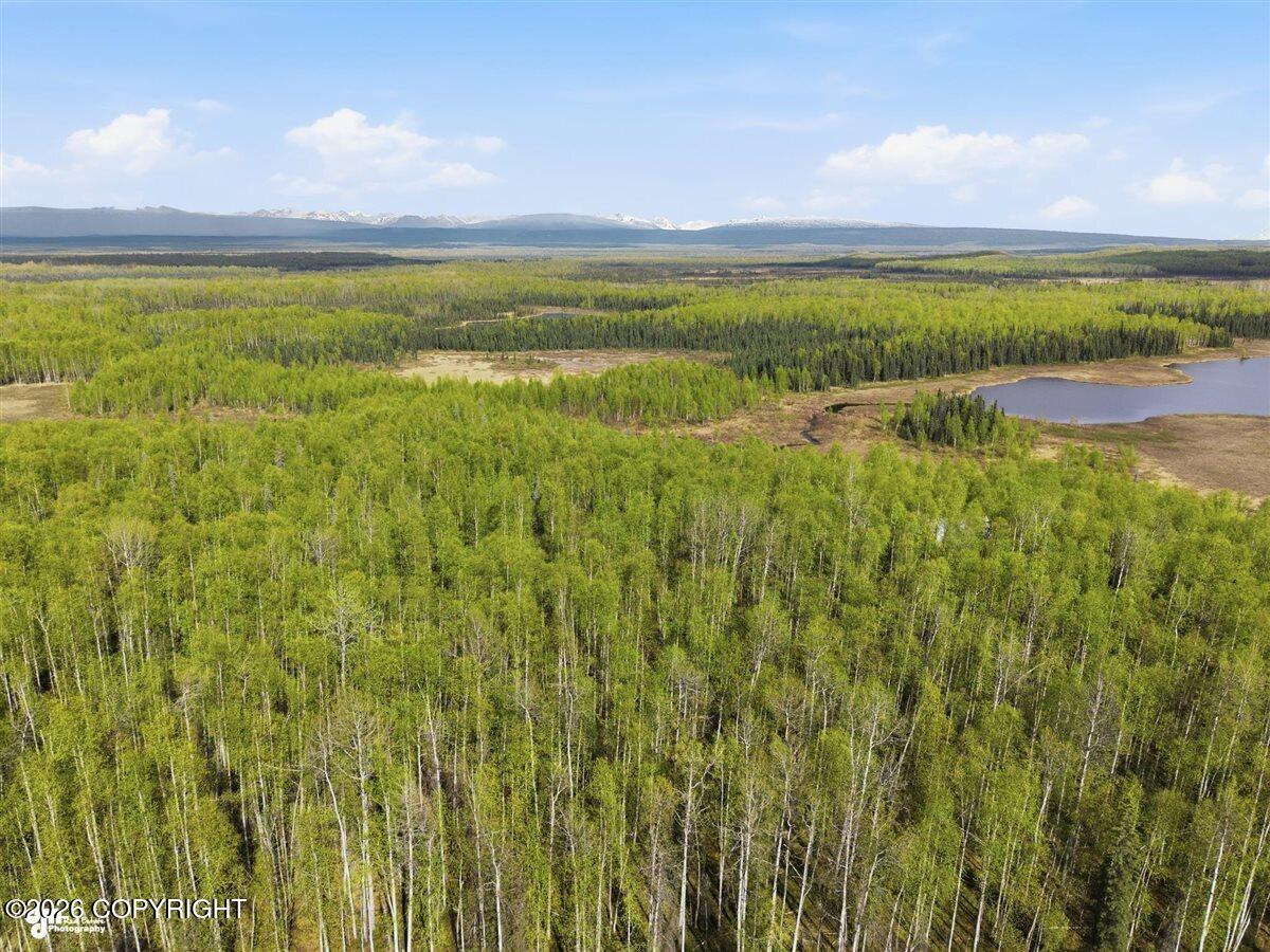 14557 N Willow Station Road Property Photo 8