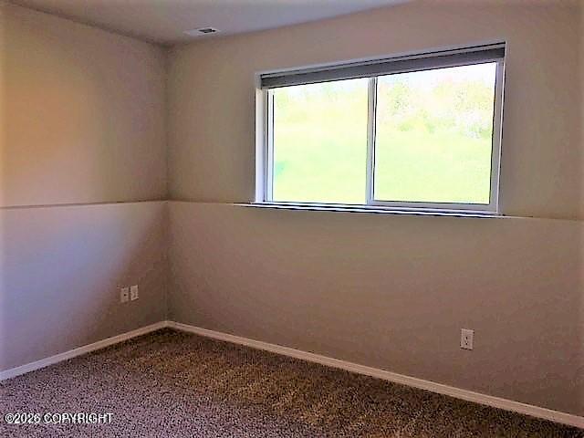 20405 Icefall Drive Property Photo 11