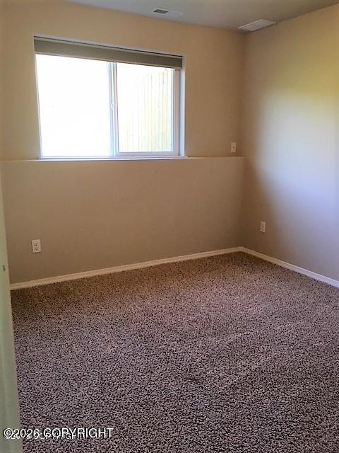 20405 Icefall Drive Property Photo 17