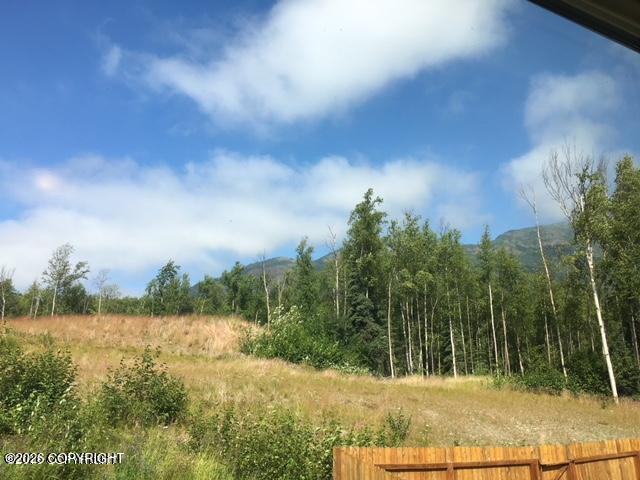 20405 Icefall Drive Property Photo 23