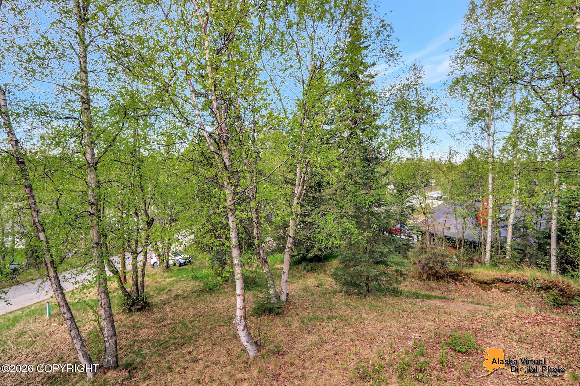 10931 Polar Drive Property Photo 61