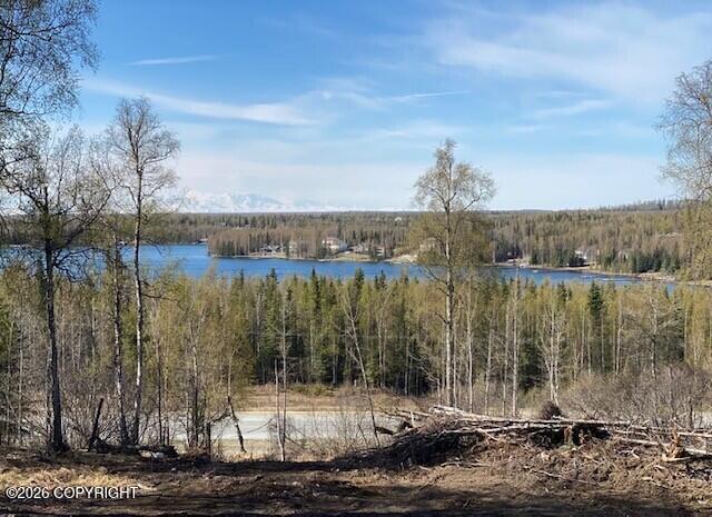 38522 Birch Hill Drive Property Photo 8