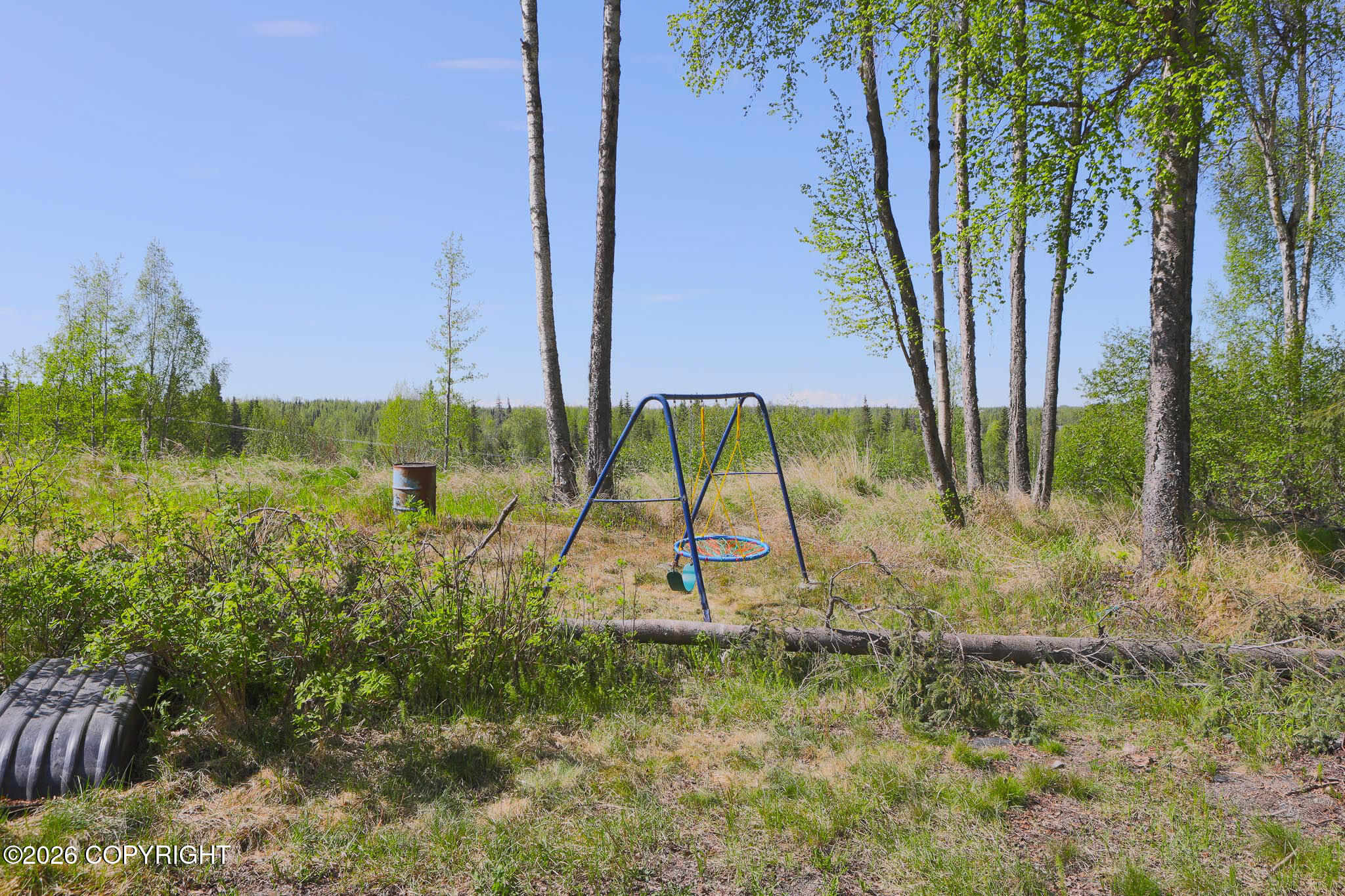 38522 Birch Hill Drive Property Photo 36