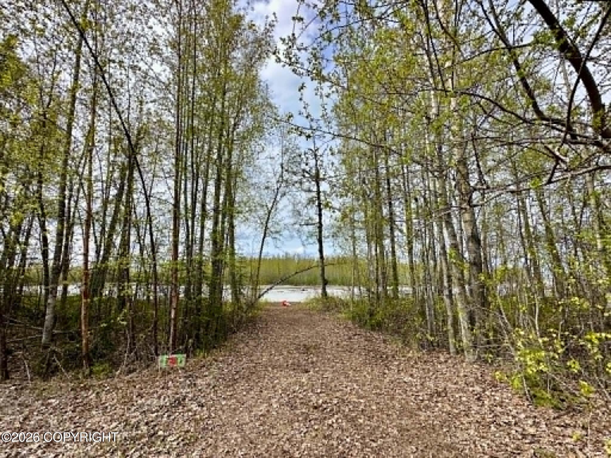 23240 S Talkeetna Spur Road Property Photo 2