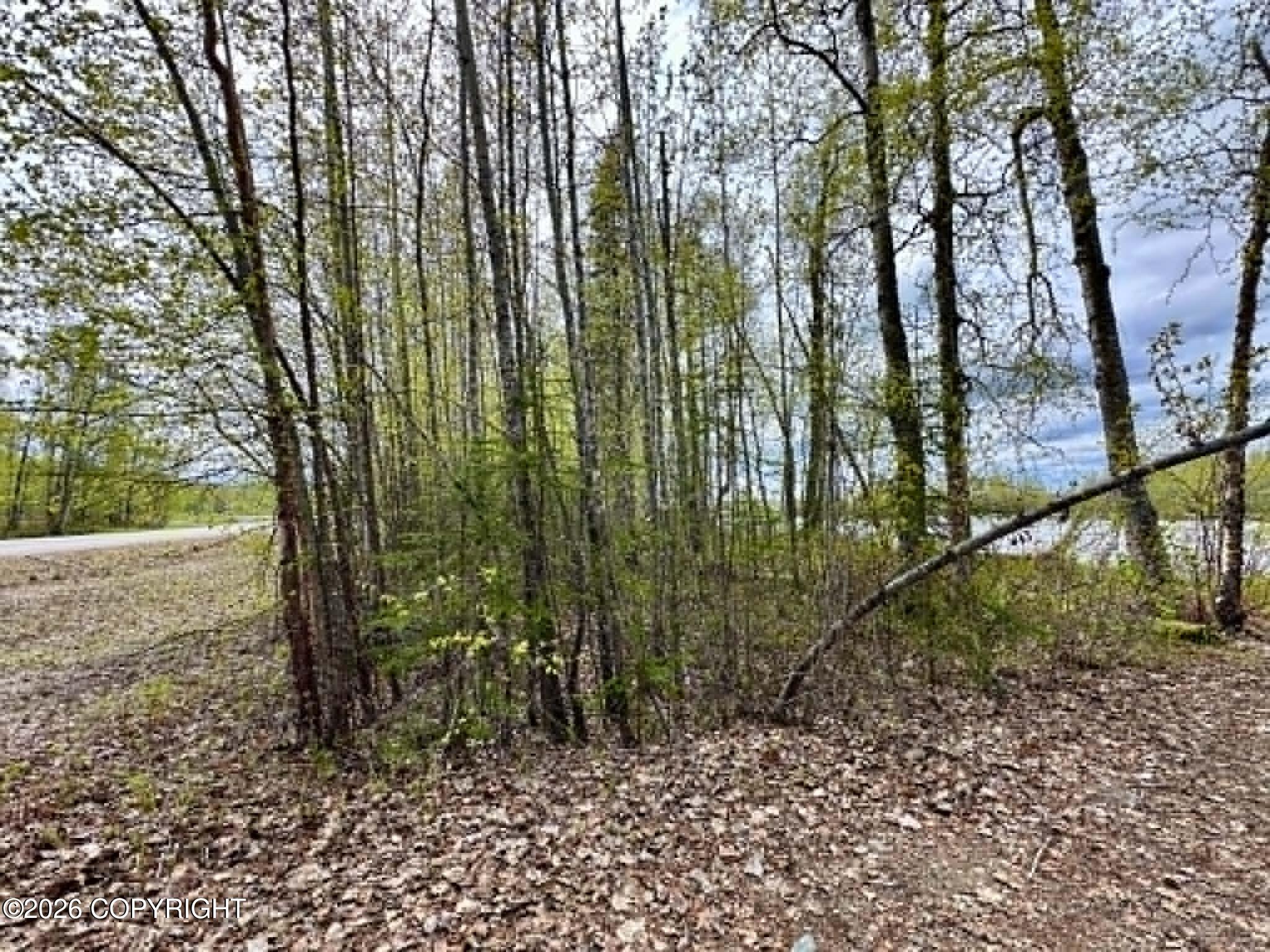 23240 S Talkeetna Spur Road Property Photo 5