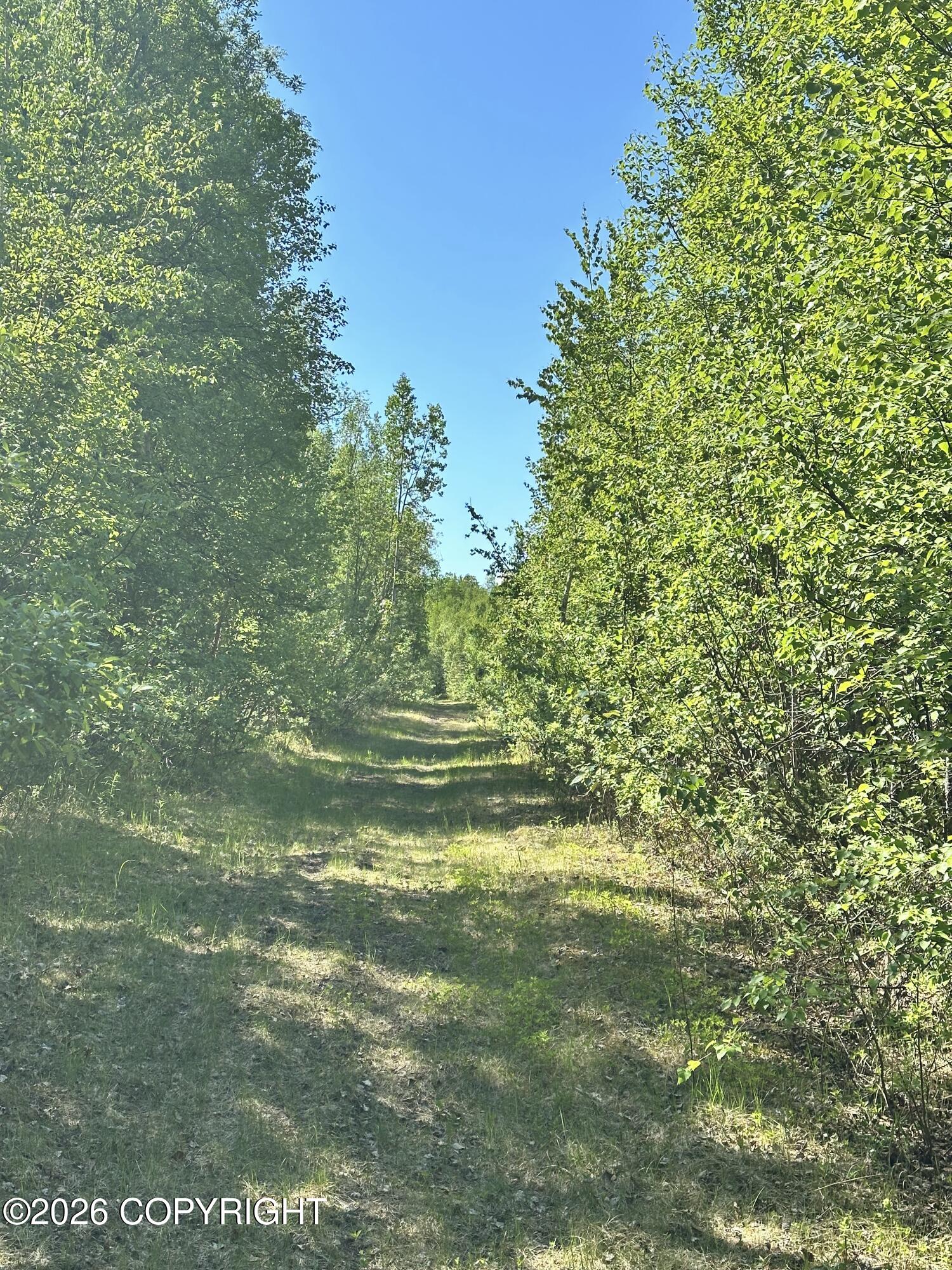 49990 S Resolute Drive Property Photo 13