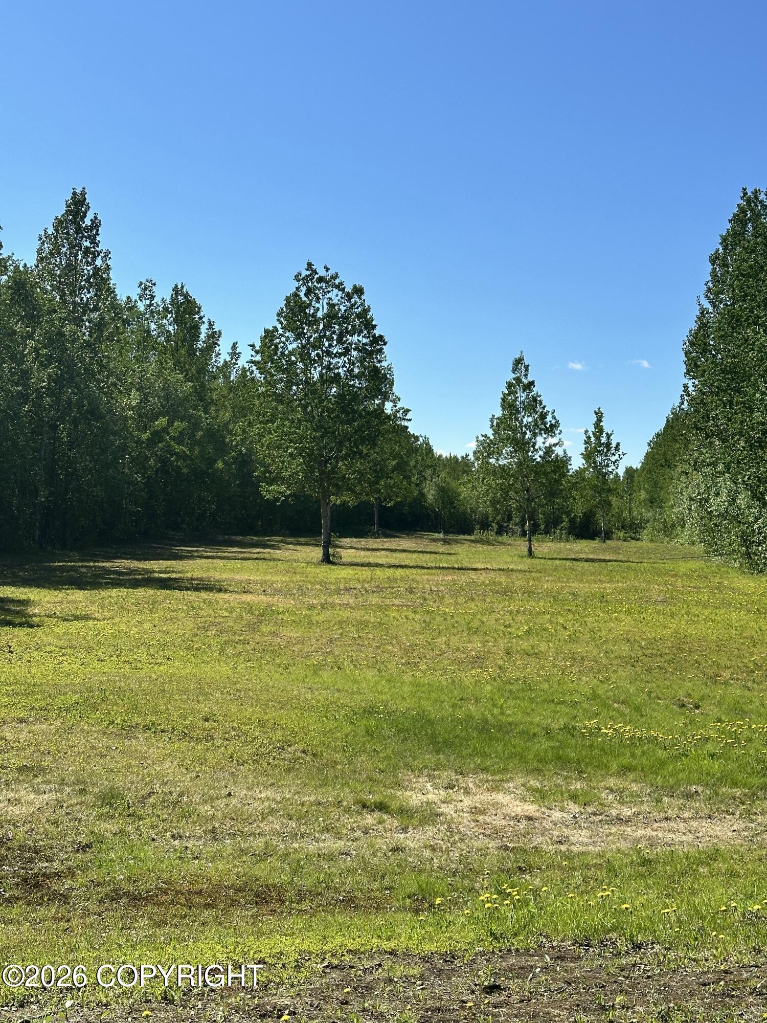 49990 S Resolute Drive Property Photo 83