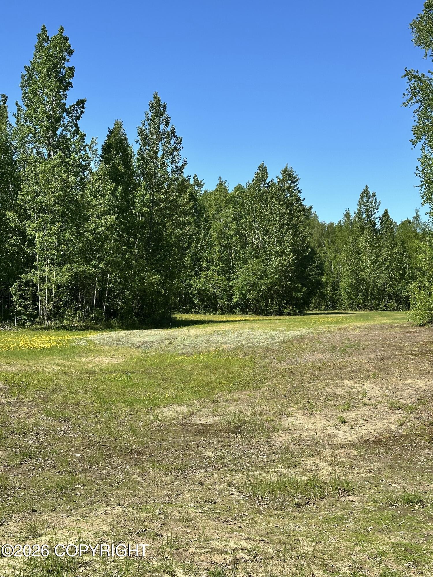 49990 S Resolute Drive Property Photo 86