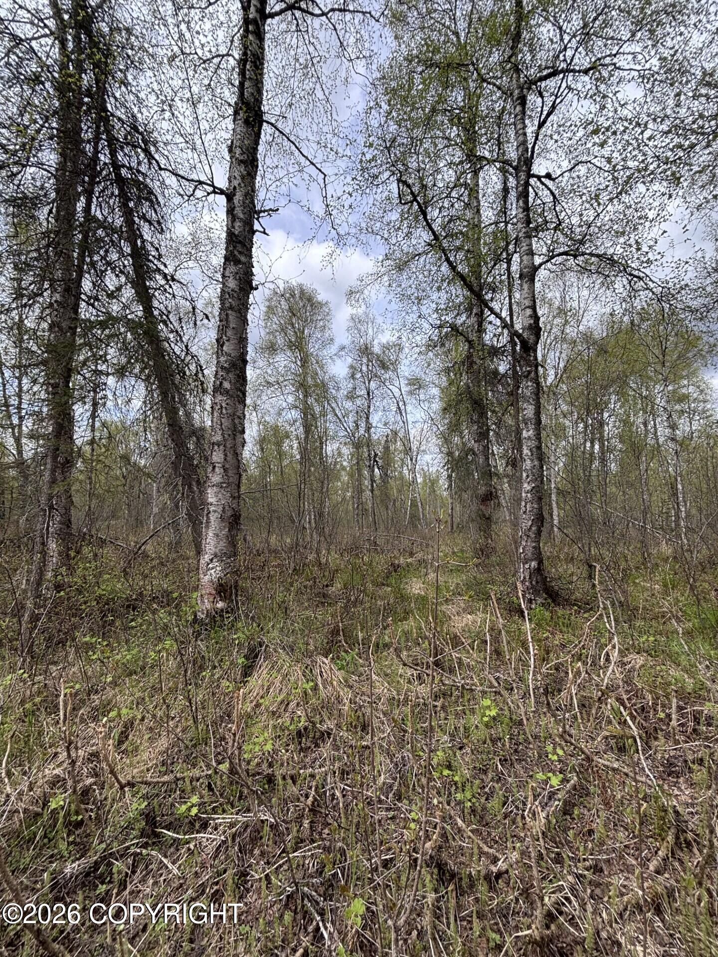 B001 No Road Property Photo 9