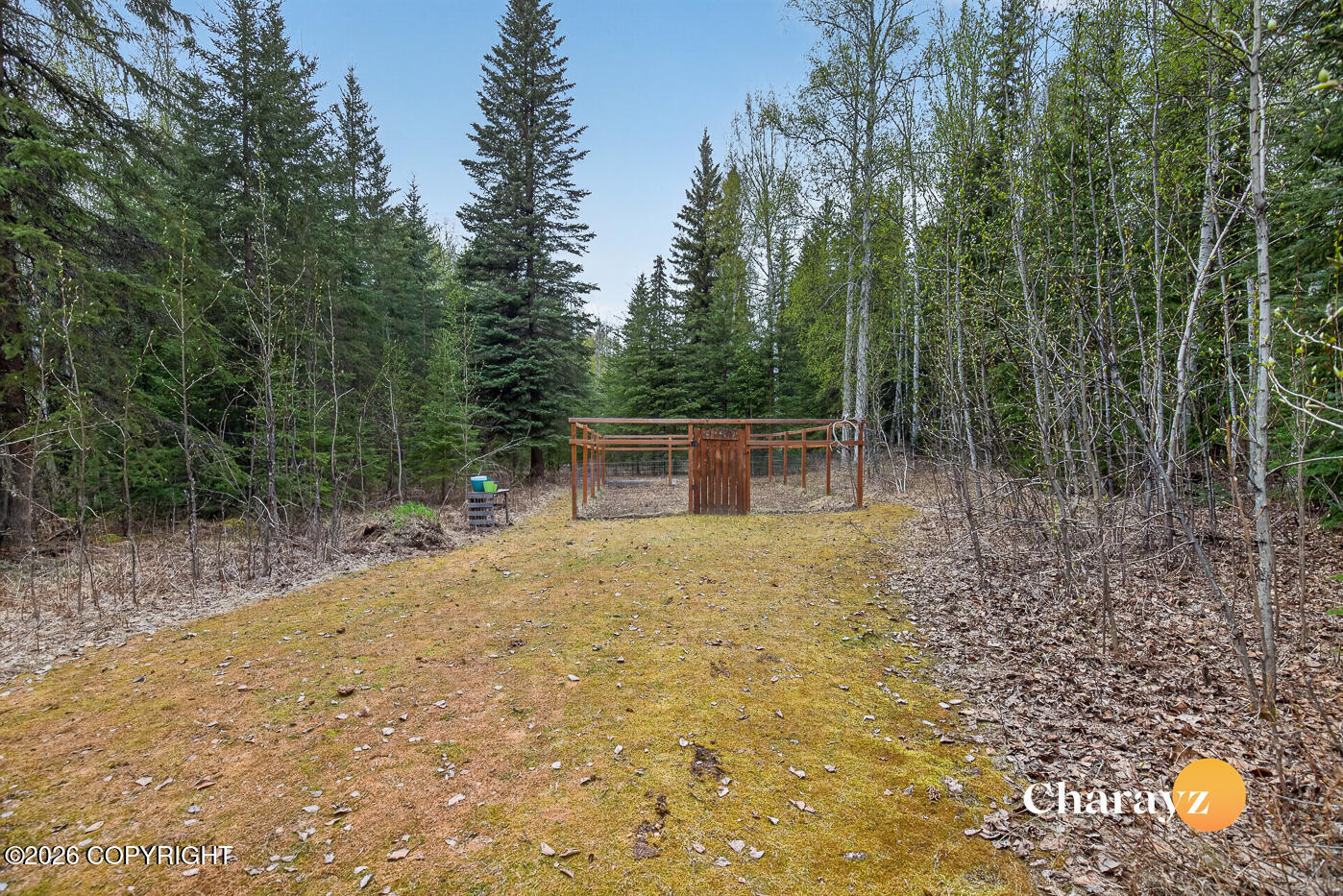 4987 Murphy Dome Road Property Photo 21