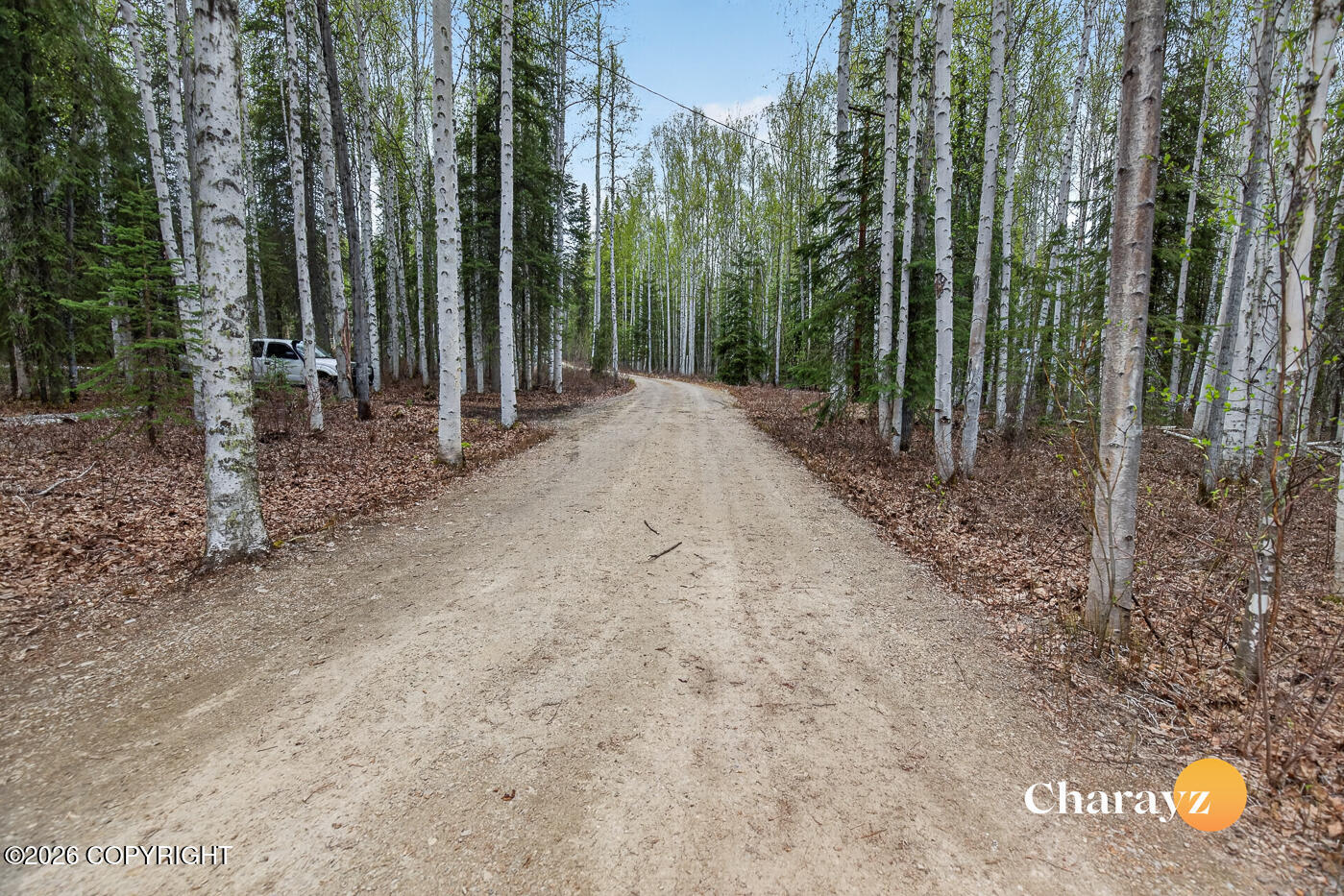 4987 Murphy Dome Road Property Photo 60