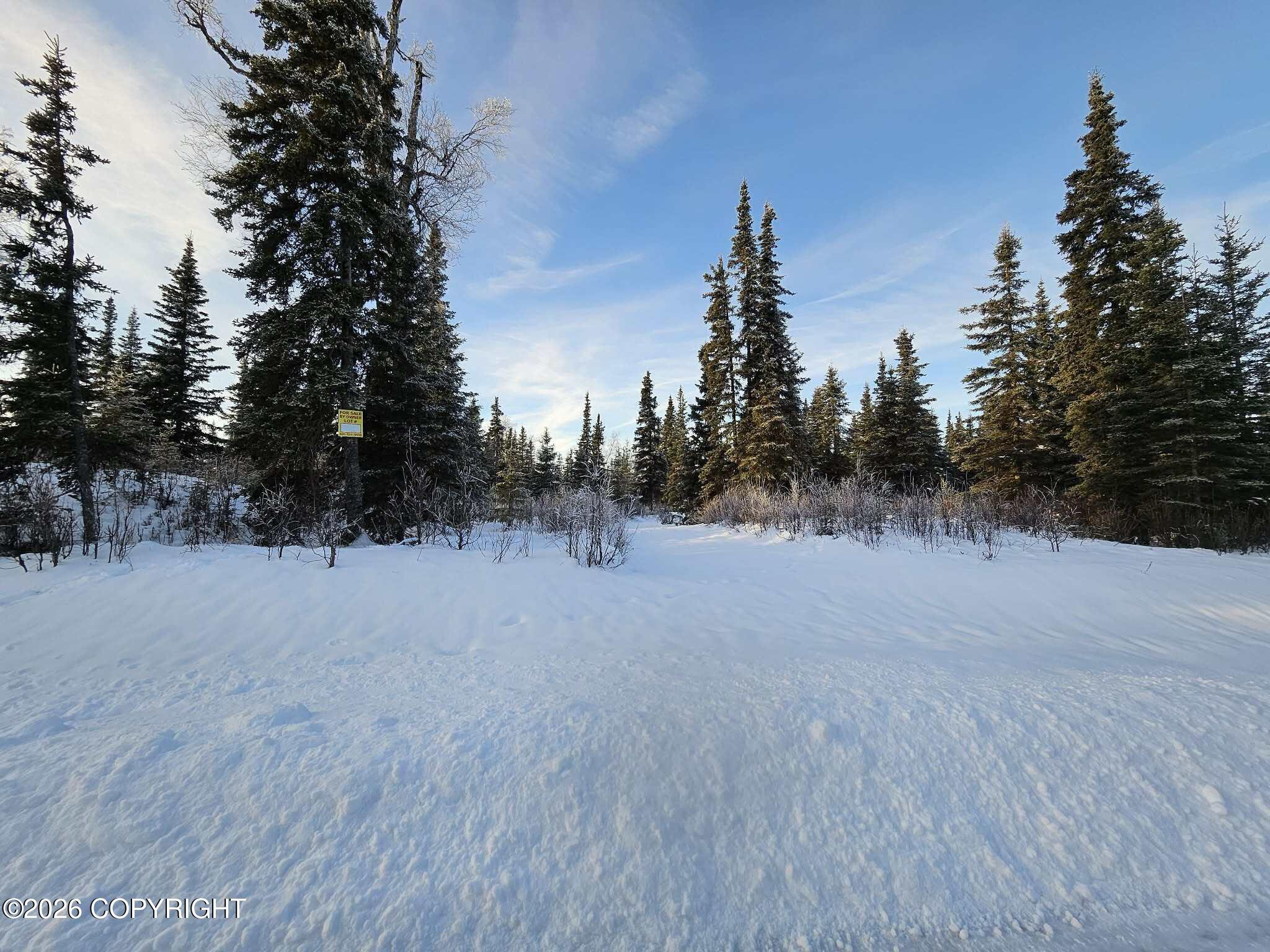 000 Princess Lake Estates Property Photo 20
