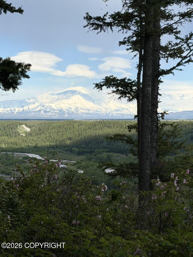 Mile .5 Tok Cut-off Highway Property Photo 2