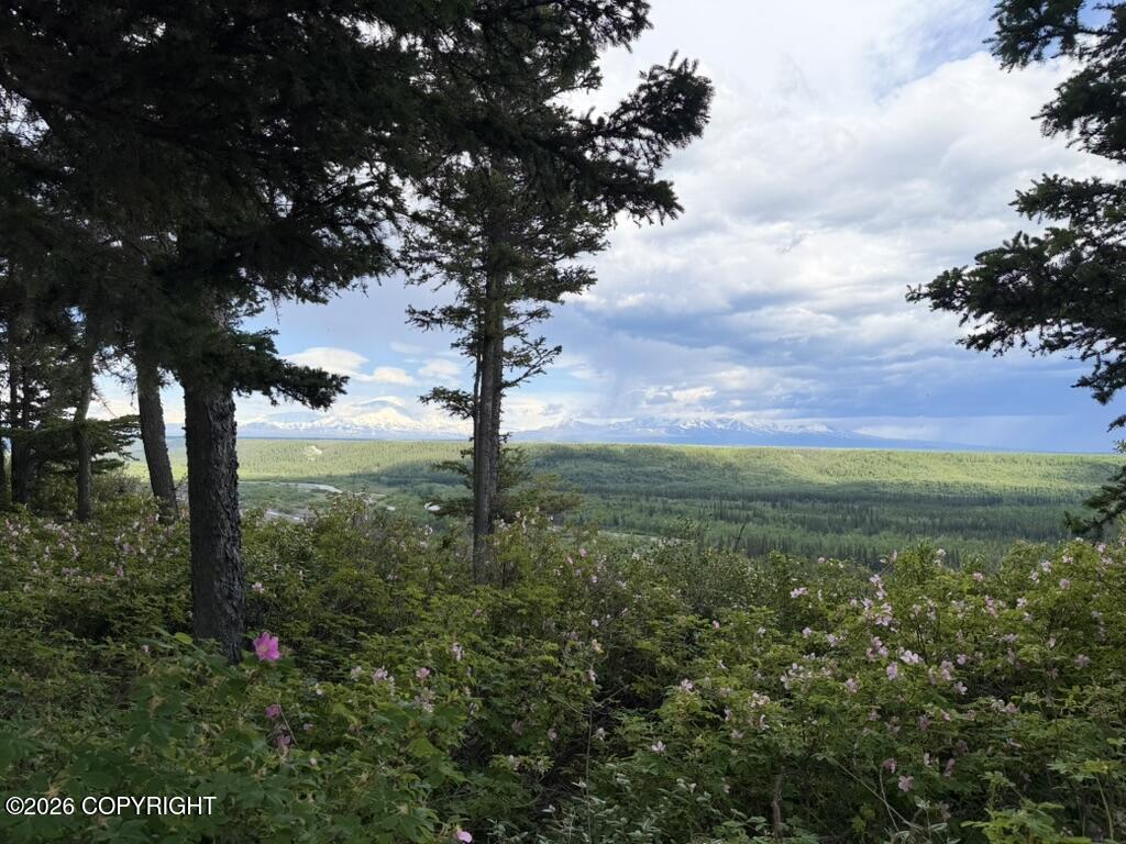Mile .5 Tok Cut-off Highway Property Photo 3
