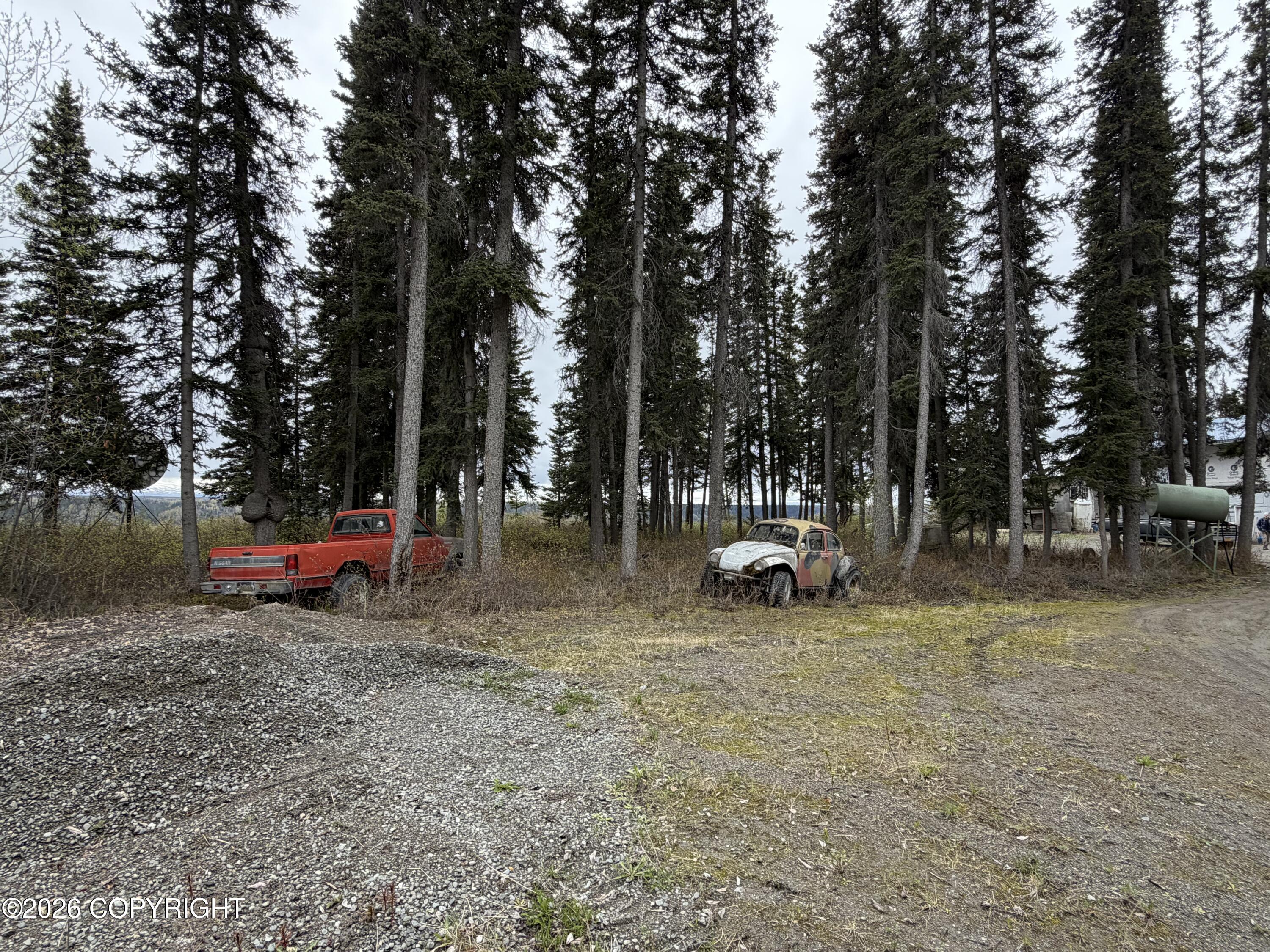 Mile .5 Tok Cut-off Highway Property Photo 10