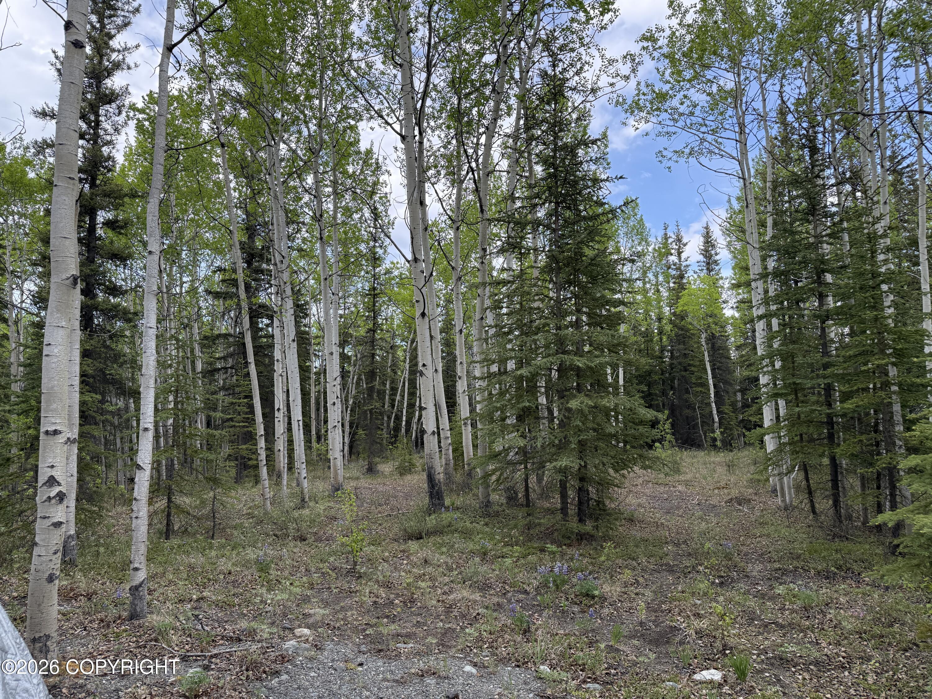 L11-12 Kenny Lake Loop Property Photo 18