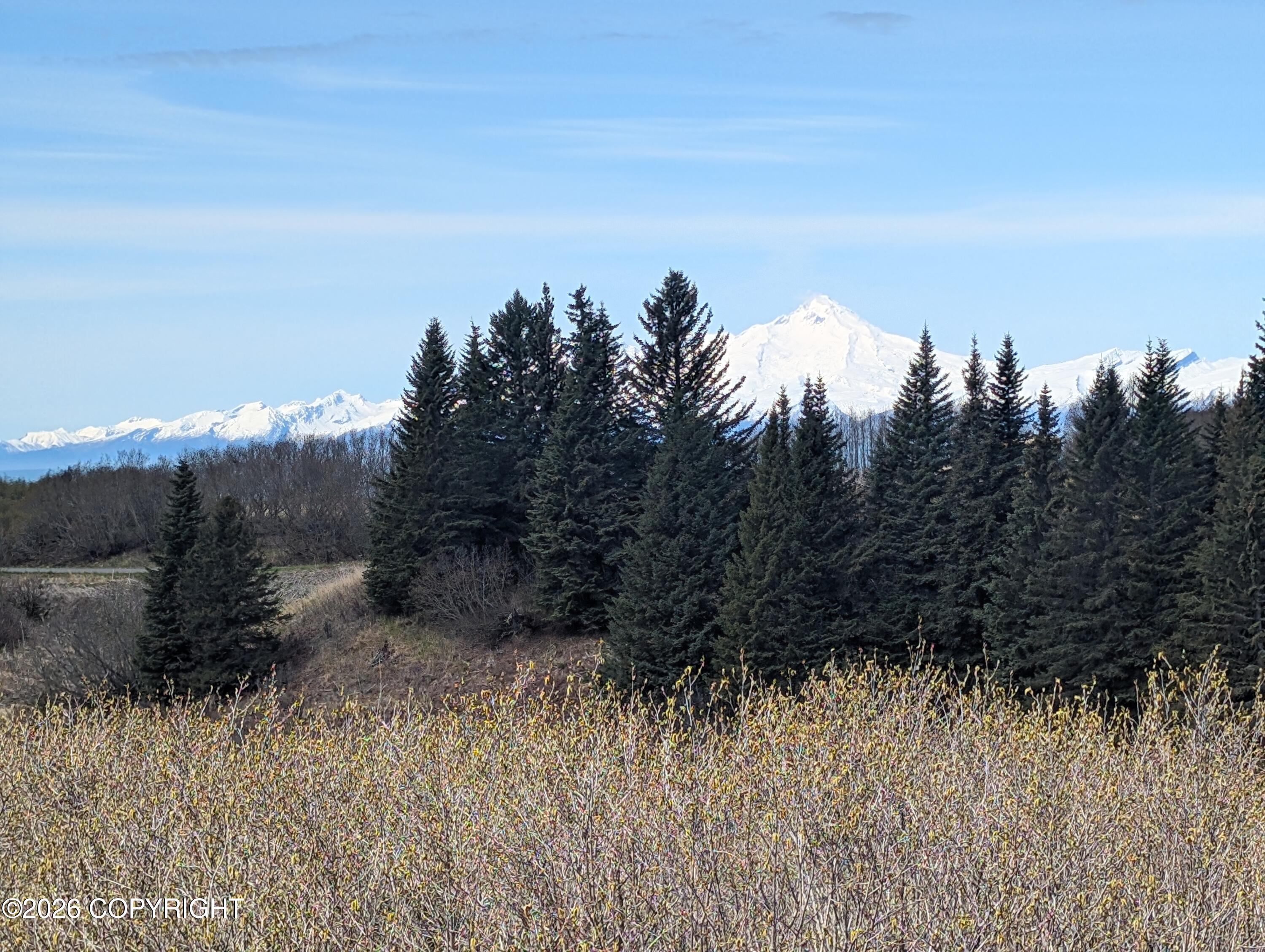 17372 Hyila Lane Property Photo 4