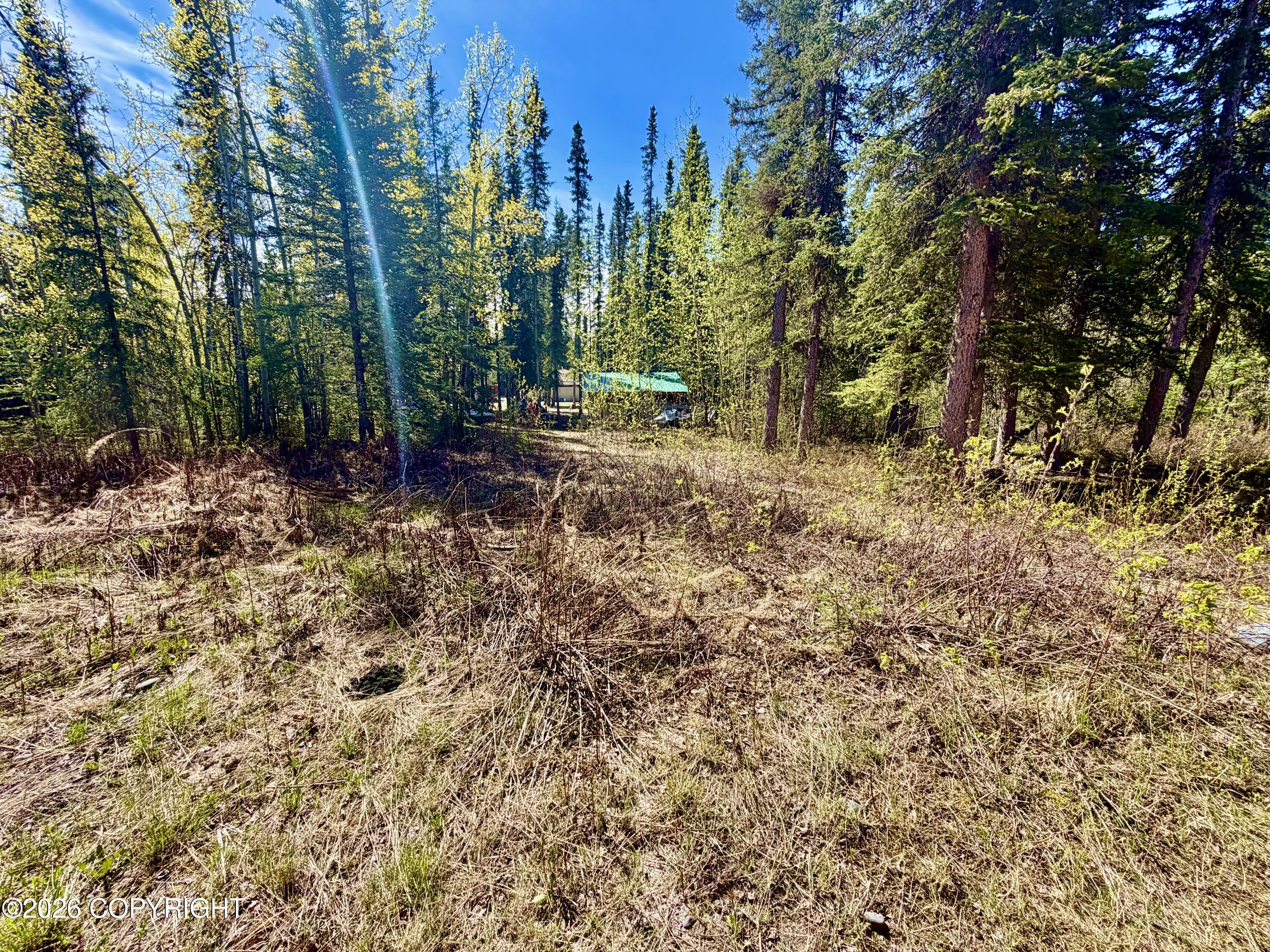 L5 4th Street Property Photo 29