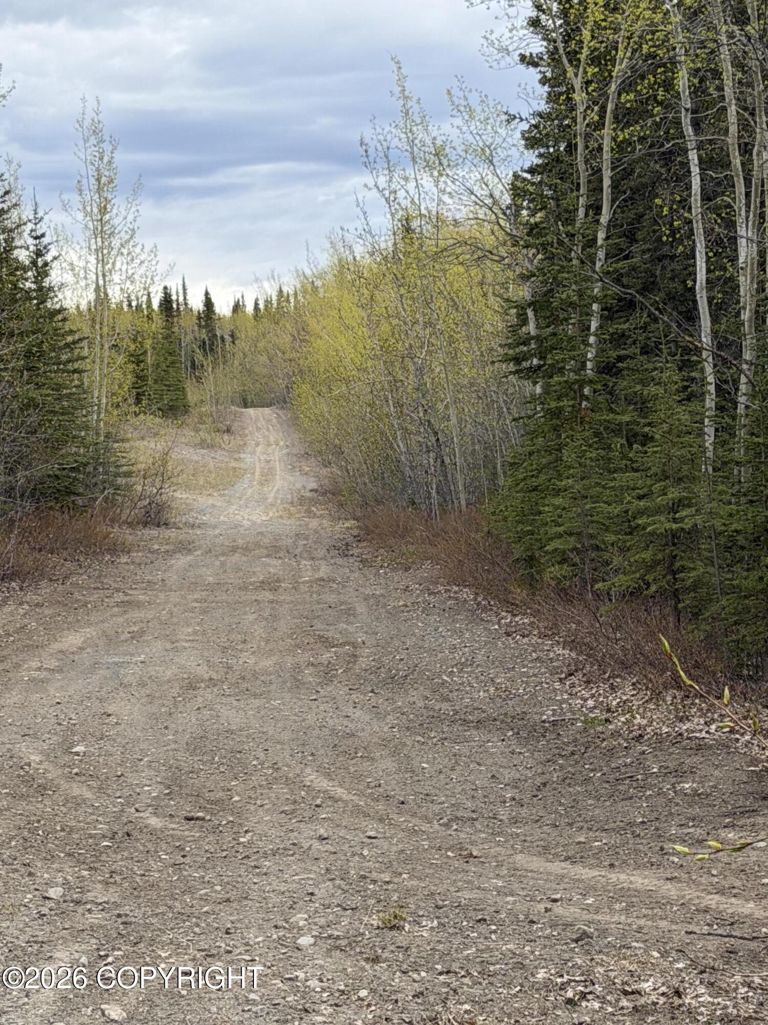 Mile 89 Richardson Highway Property Photo 1