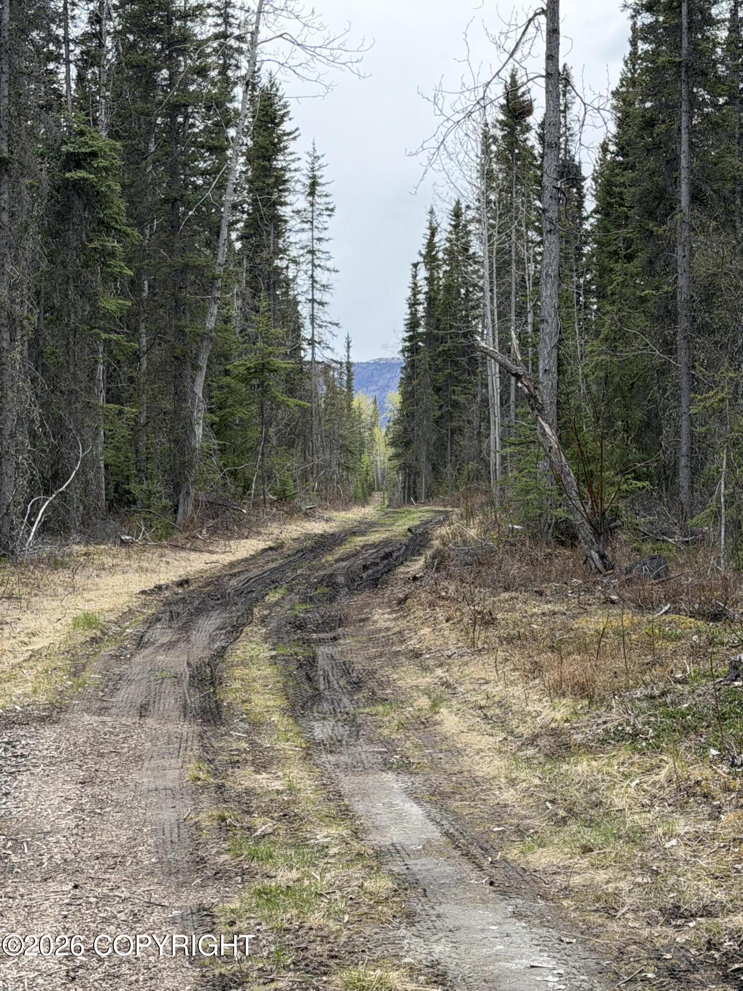 Mile 89 Richardson Highway Property Photo 2