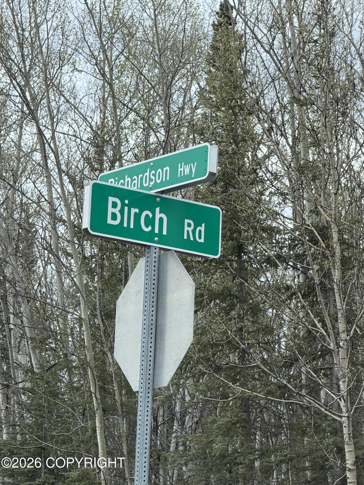 Mile 89 Richardson Highway Property Photo 3