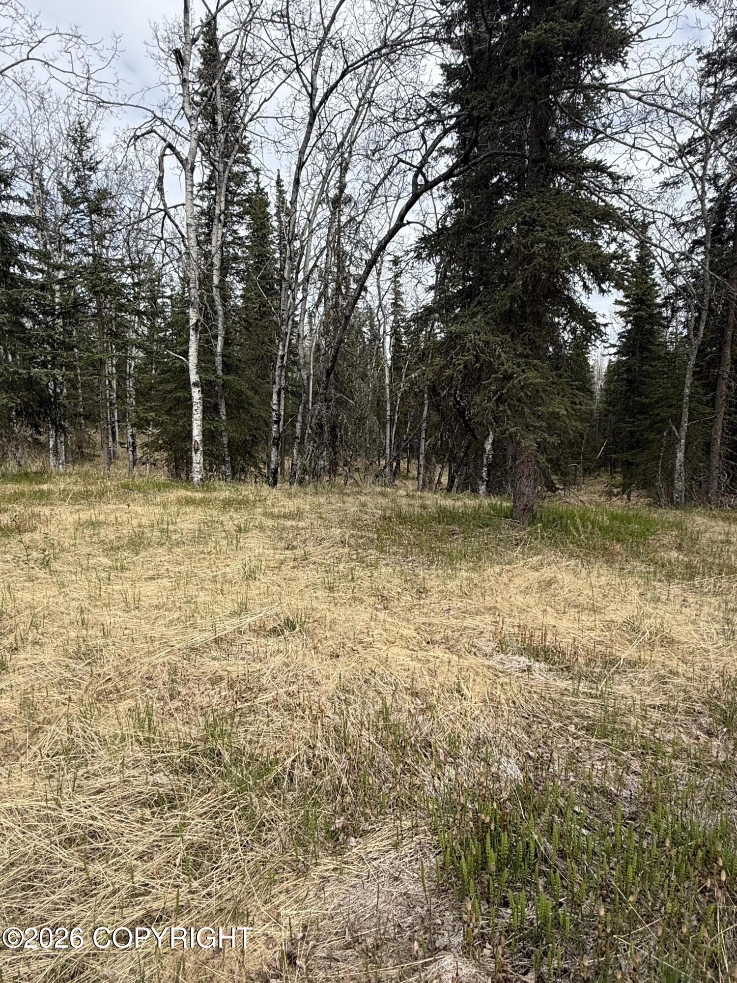 59831 Sterling Highway Property Photo 37
