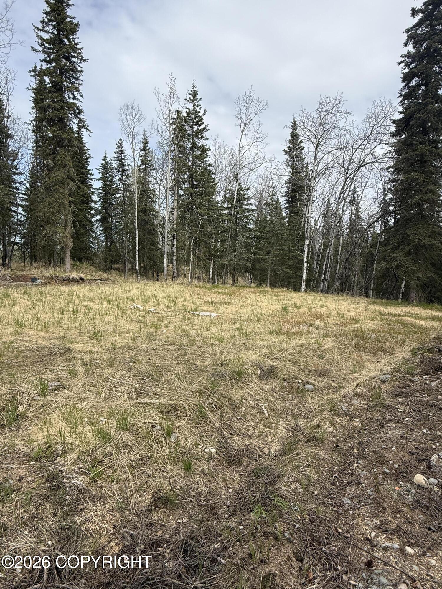 59831 Sterling Highway Property Photo 41