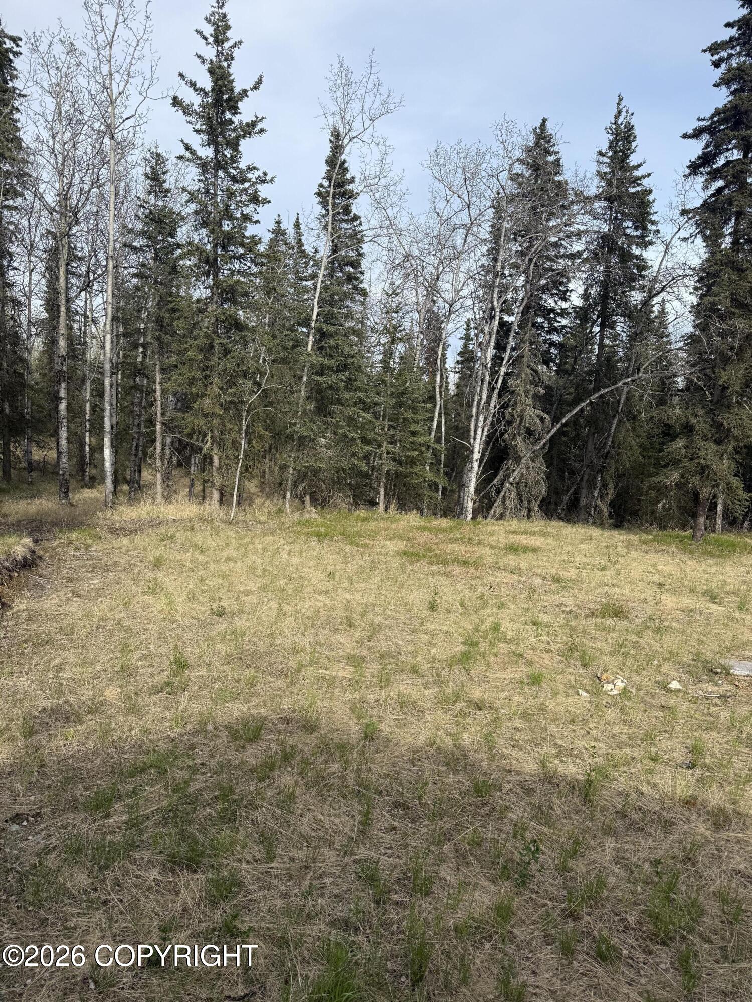 59831 Sterling Highway Property Photo 42