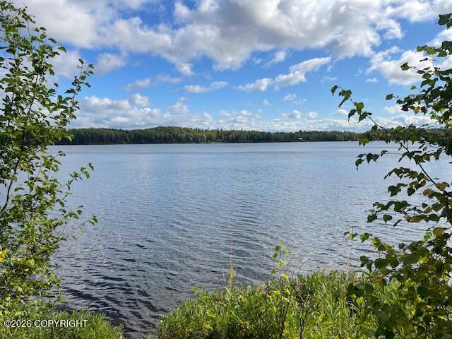 25562 W Isa Road Property Photo 12