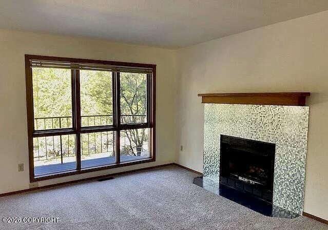 3907 Lunar Drive Property Photo 10