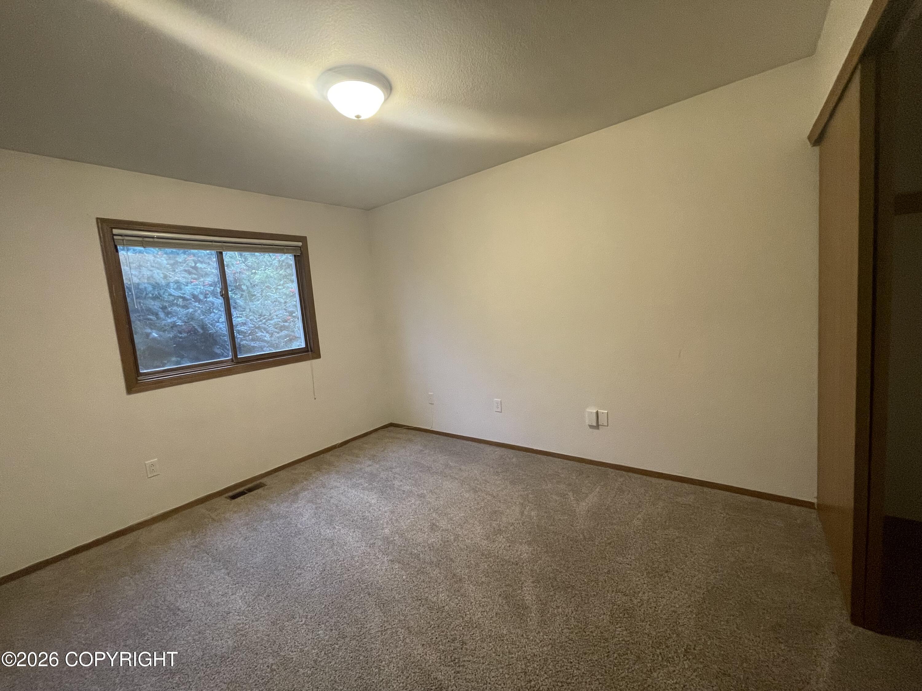 3907 Lunar Drive Property Photo 18
